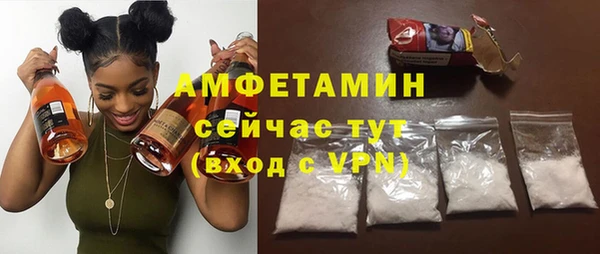 шишки Белоозёрский