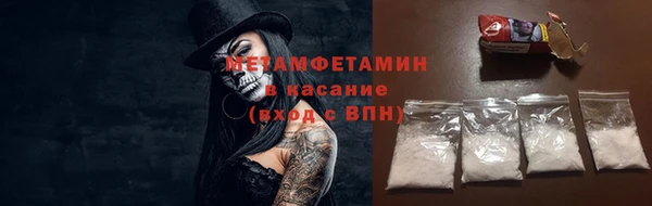 шишки Белоозёрский