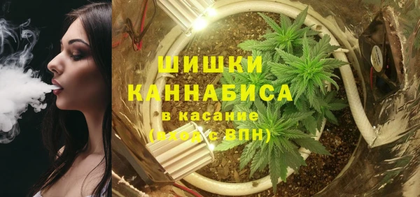 молекула духа Белокуриха