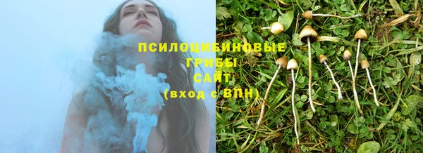 дурь Беломорск