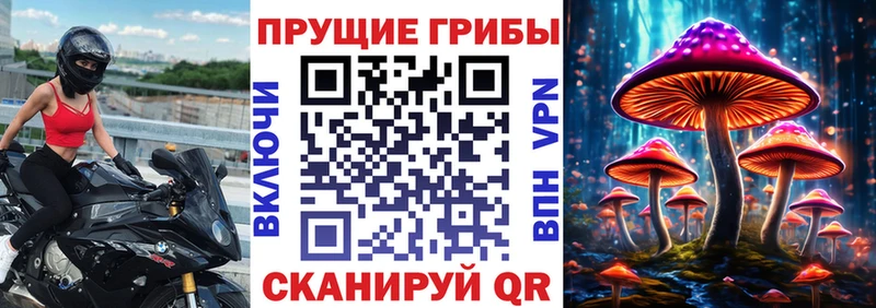 Галлюциногенные грибы прущие грибы  Покровск 